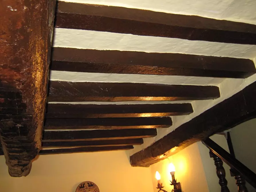 Immagine 2 di Terratetto in vendita  a Scansano