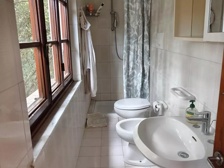 Immagine 12 di Appartamento in affitto  a Palaia