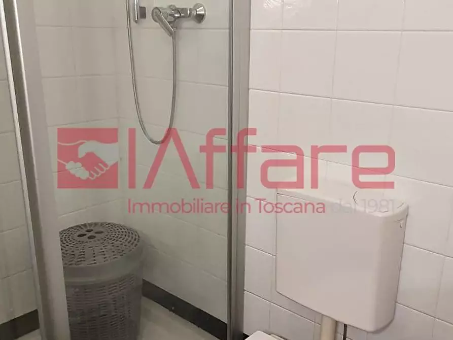 Immagine 14 di Appartamento in affitto  a Calcinaia