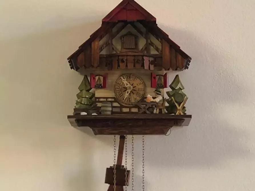 Immagine 9 di Appartamento in vendita  a Cascina