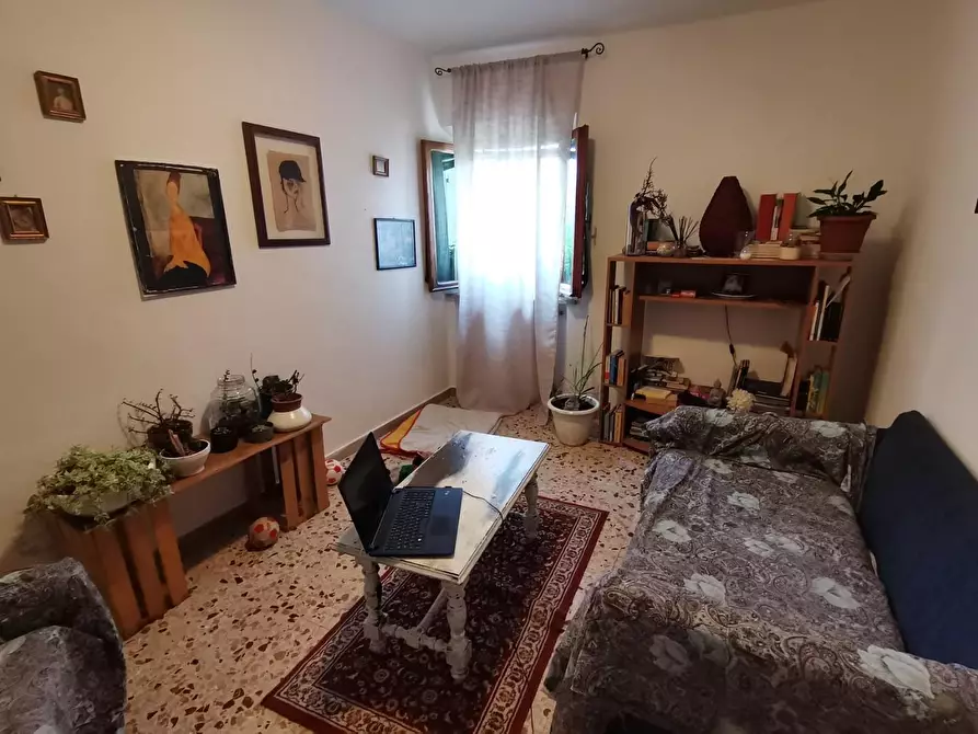 Immagine 7 di Appartamento in vendita  a Peccioli