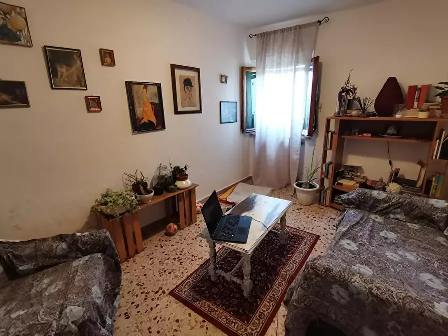 Immagine 8 di Appartamento in vendita  a Peccioli