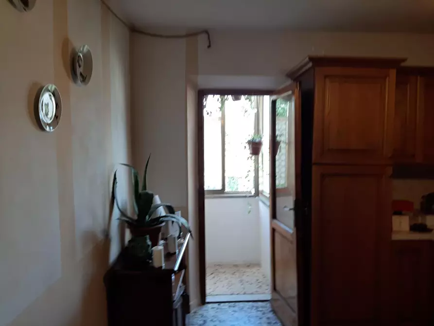 Immagine 2 di Appartamento in vendita  a Peccioli