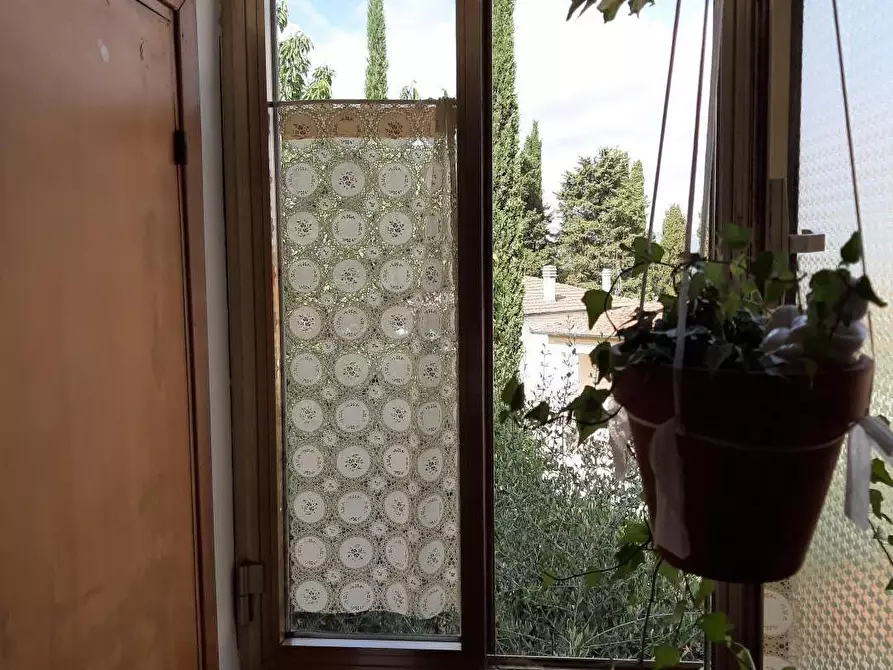 Immagine 6 di Appartamento in vendita  a Peccioli