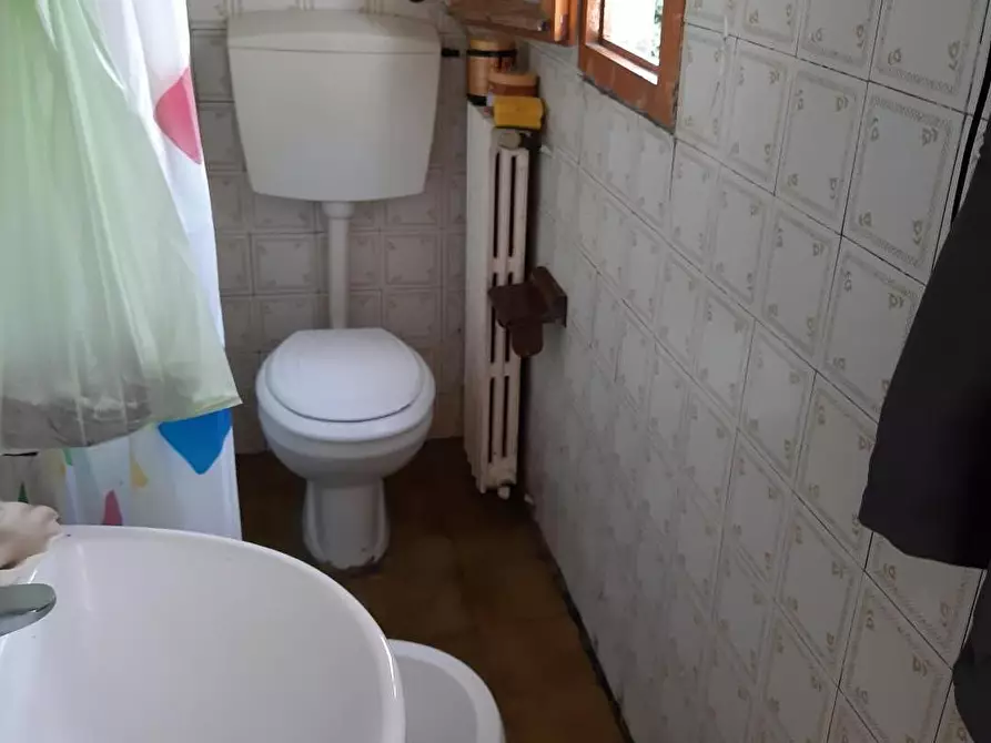 Immagine 11 di Appartamento in vendita  a Peccioli