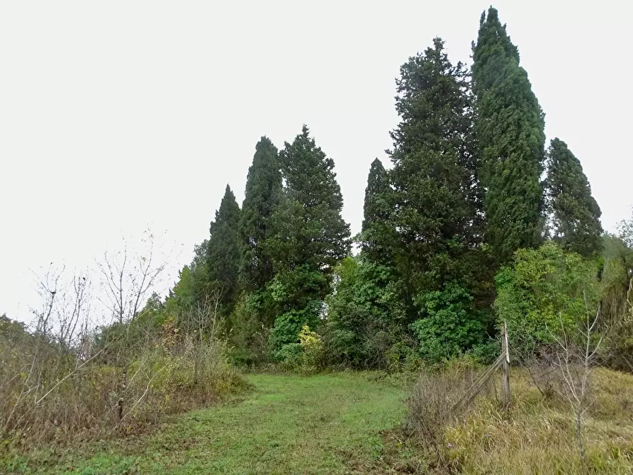 Immagine 1 di Casa indipendente in vendita  a San Miniato