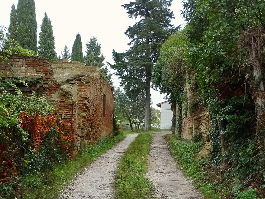 Immagine 5 di Casa indipendente in vendita  a San Miniato
