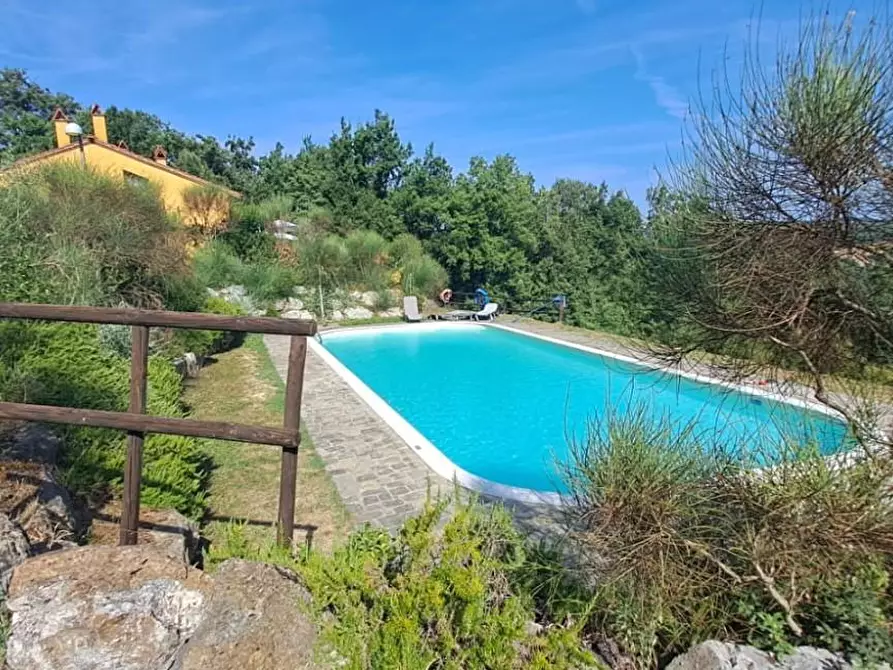 Immagine 18 di Appartamento in vendita  a Gambassi Terme