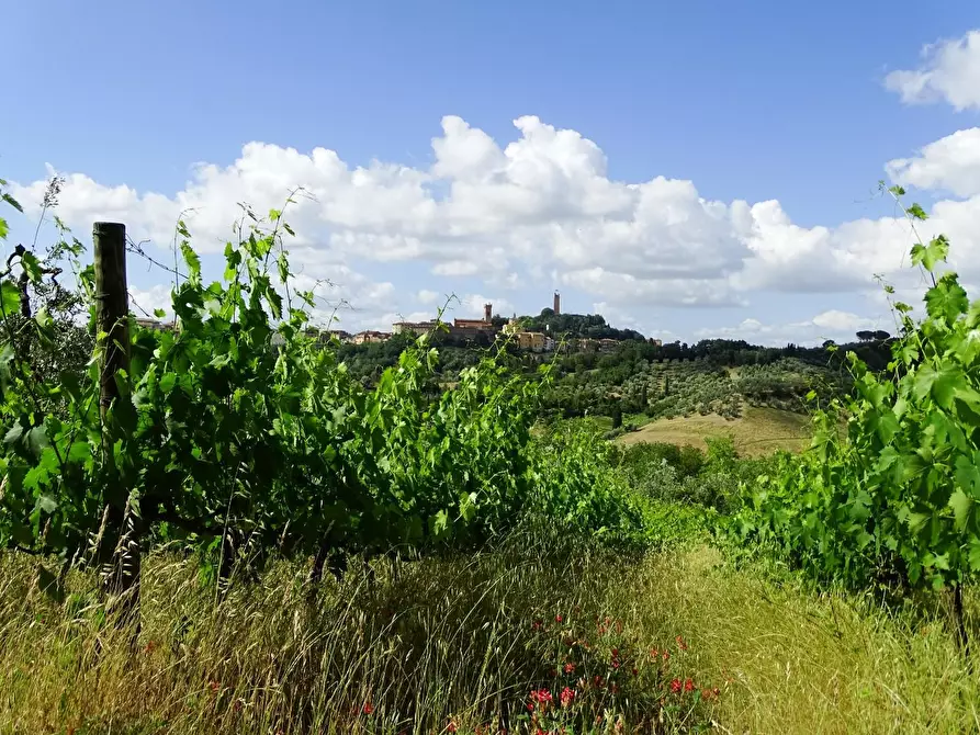 Immagine 44 di Casa colonica in vendita  a San Miniato
