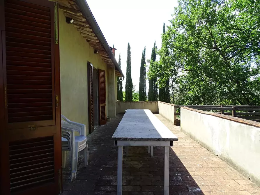 Immagine 21 di Casa colonica in vendita  a San Miniato
