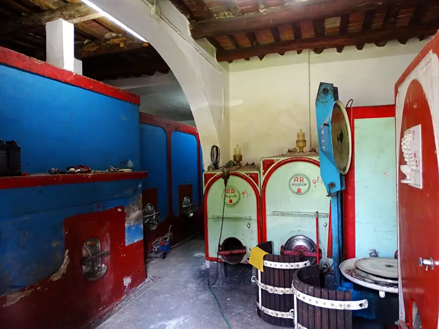 Immagine 11 di Casa colonica in vendita  a San Miniato