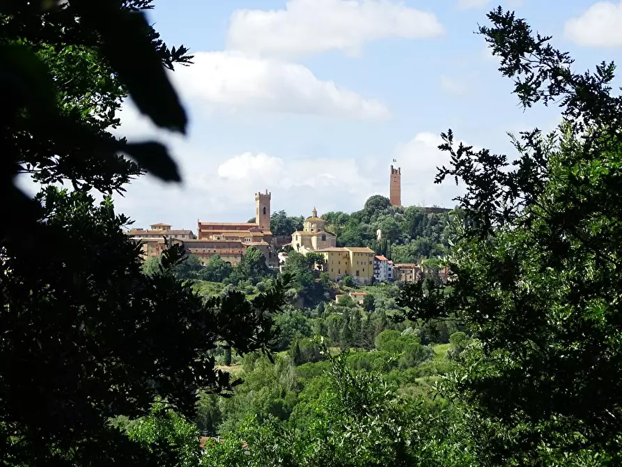 Immagine 5 di Casa colonica in vendita  a San Miniato