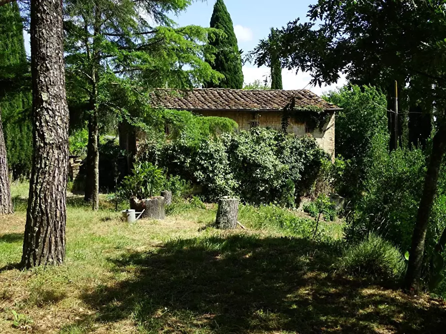 Immagine 6 di Casa colonica in vendita  a San Miniato