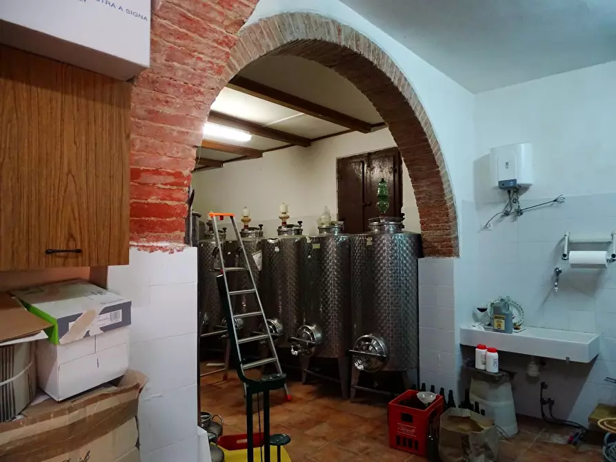 Immagine 7 di Casa colonica in vendita  a San Miniato