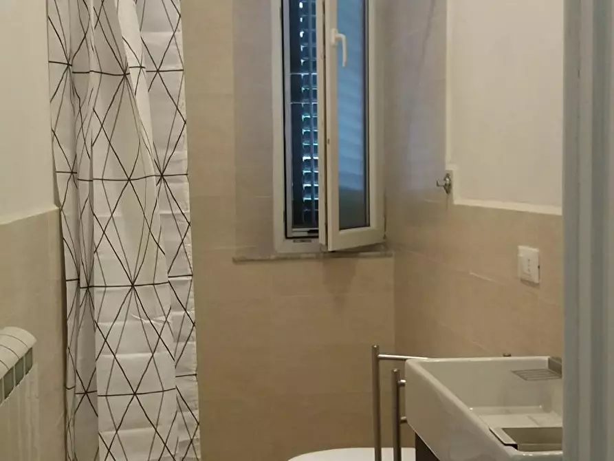 Immagine 11 di Appartamento in affitto  a Pisa