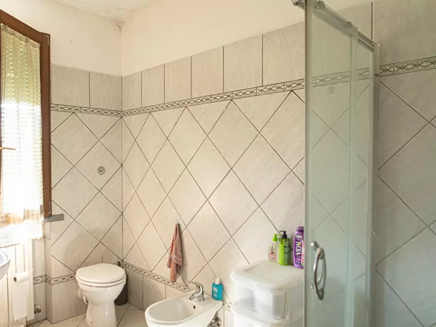 Immagine 16 di Appartamento in vendita  a San Miniato