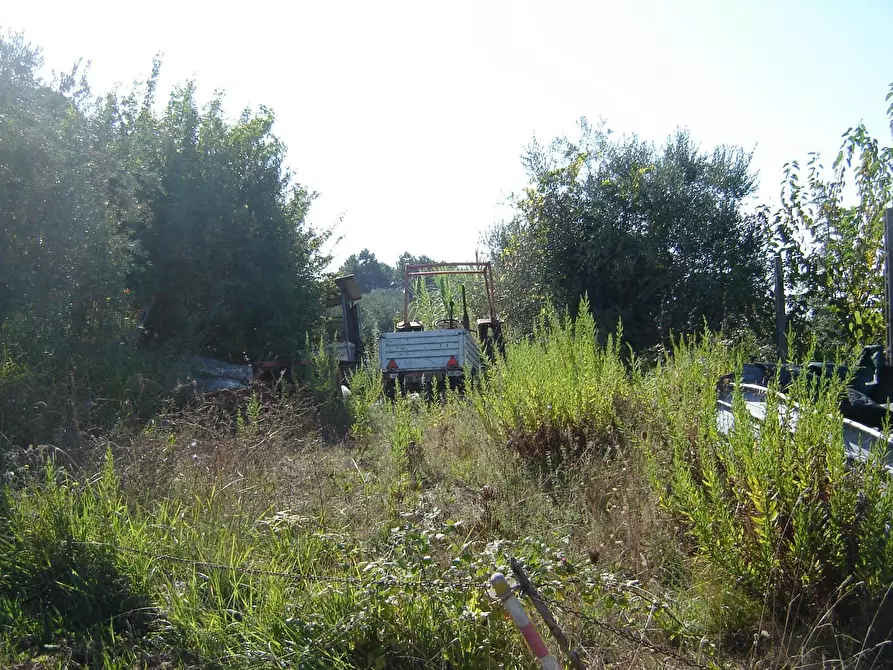 Immagine 16 di Terratetto in vendita  a Montecarlo