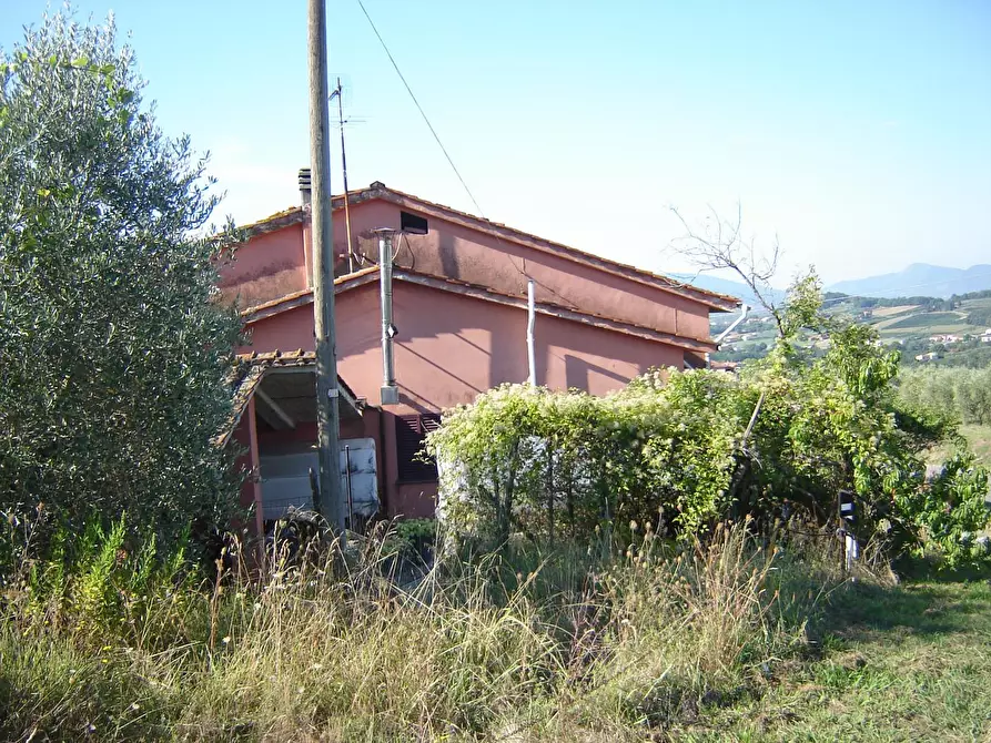 Immagine 17 di Terratetto in vendita  a Montecarlo