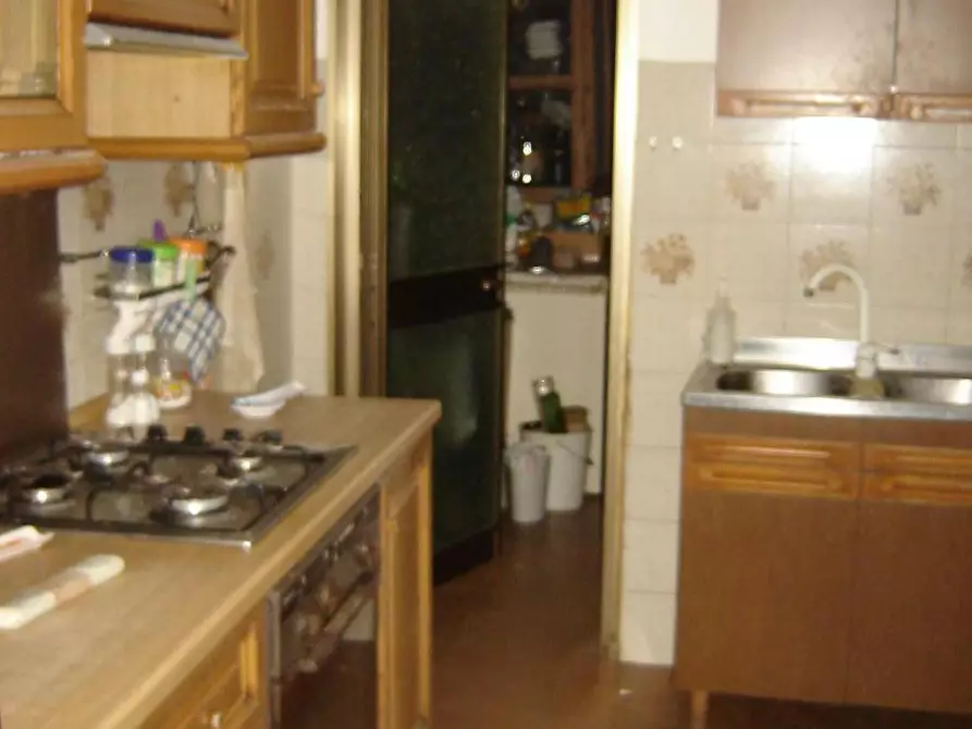 Immagine 9 di Terratetto in vendita  a Montecarlo