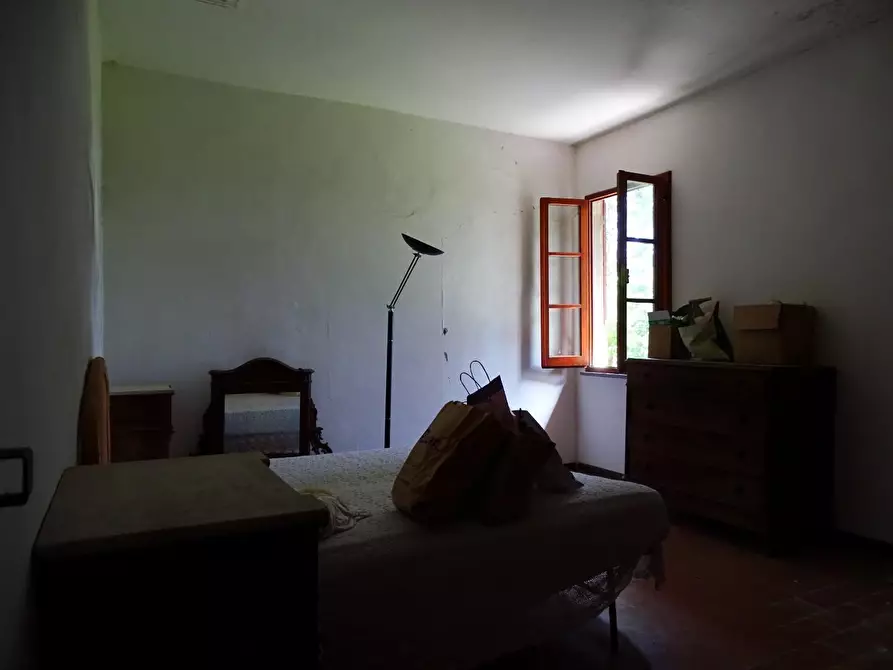 Immagine 28 di Azienda agricola in vendita  a San Miniato