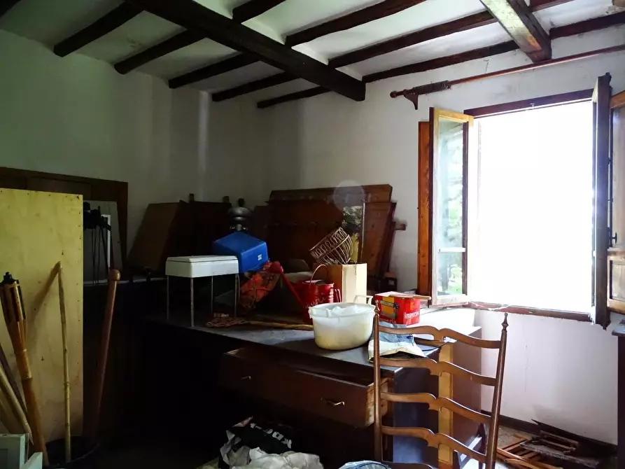 Immagine 33 di Azienda agricola in vendita  a San Miniato