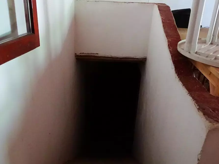 Immagine 15 di Azienda agricola in vendita  a San Miniato