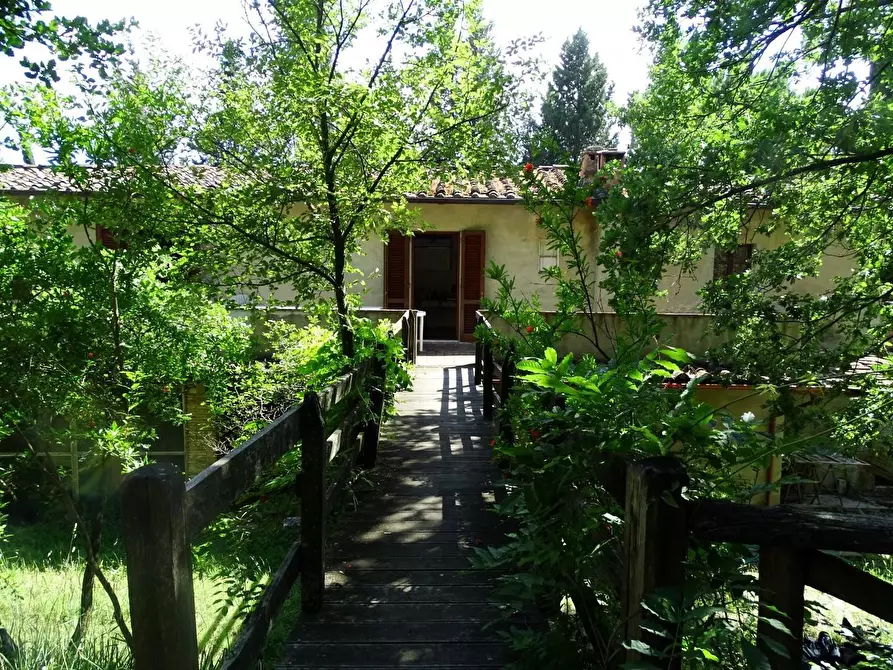 Immagine 24 di Azienda agricola in vendita  a San Miniato