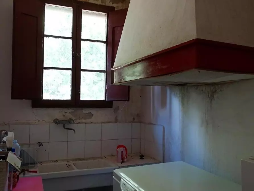 Immagine 32 di Azienda agricola in vendita  a San Miniato