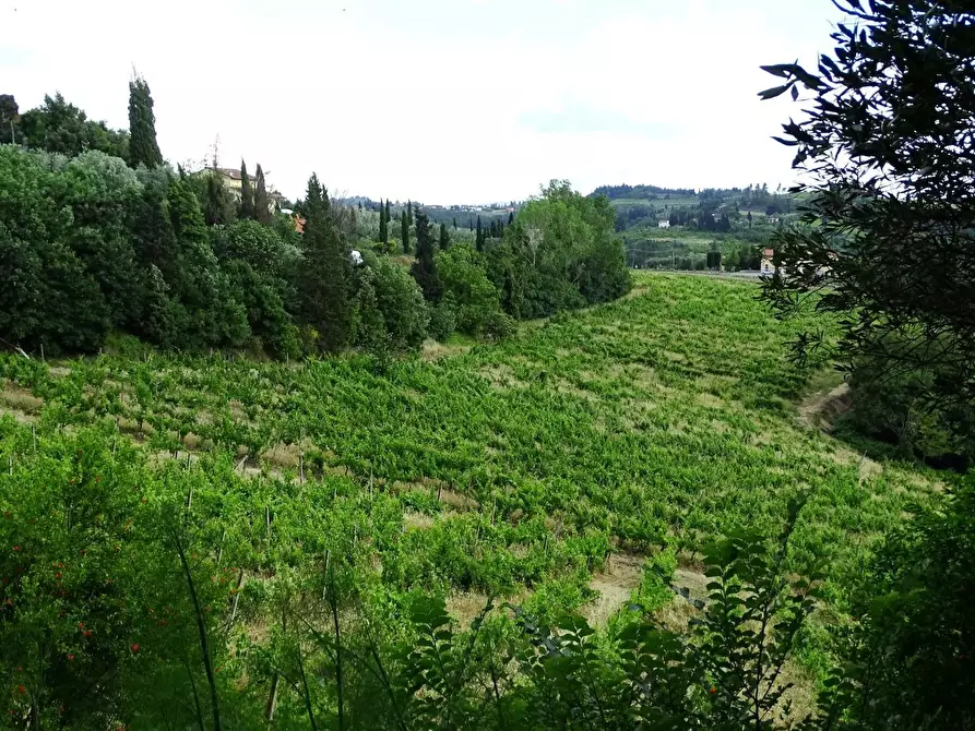 Immagine 40 di Azienda agricola in vendita  a San Miniato