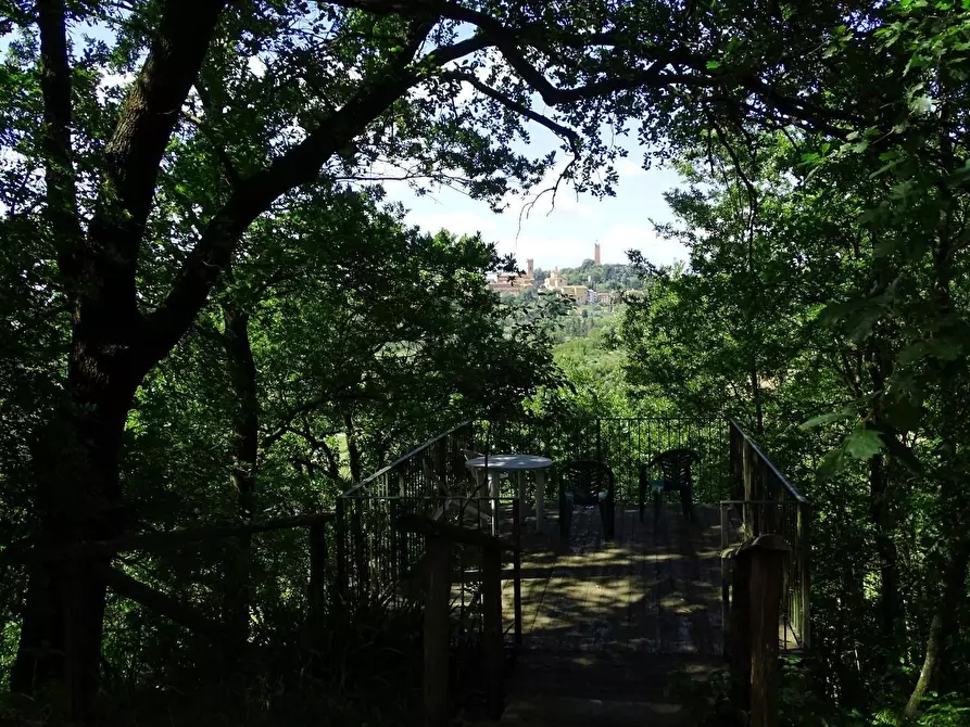 Immagine 5 di Azienda agricola in vendita  a San Miniato