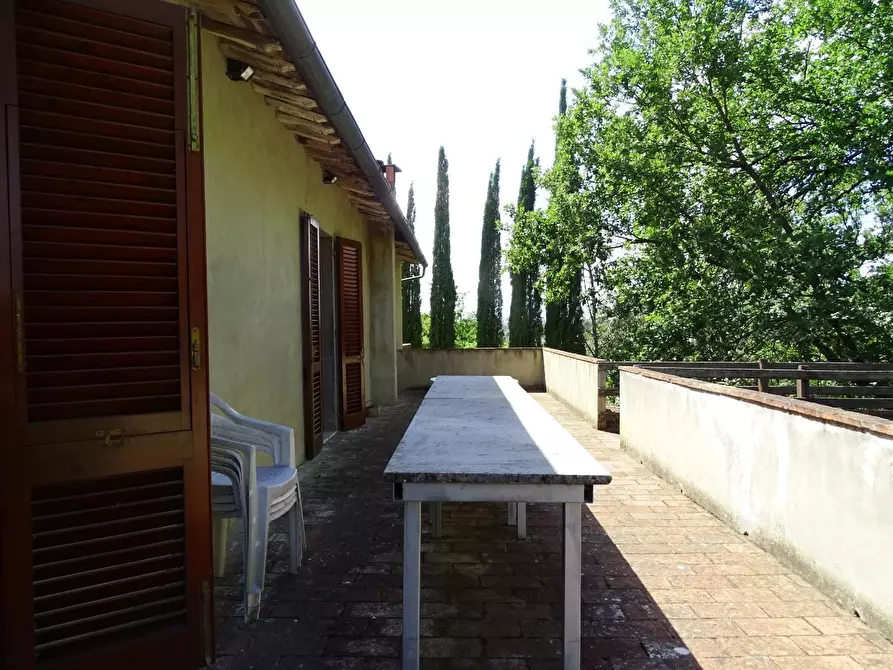 Immagine 22 di Azienda agricola in vendita  a San Miniato