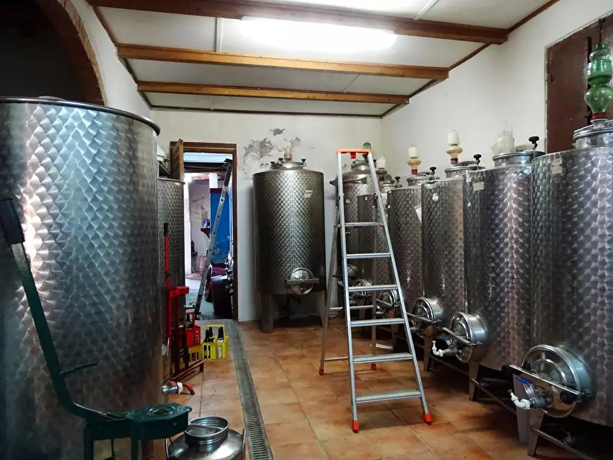 Immagine 9 di Azienda agricola in vendita  a San Miniato