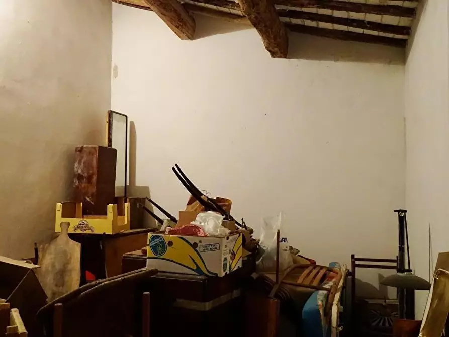 Immagine 17 di Azienda agricola in vendita  a San Miniato