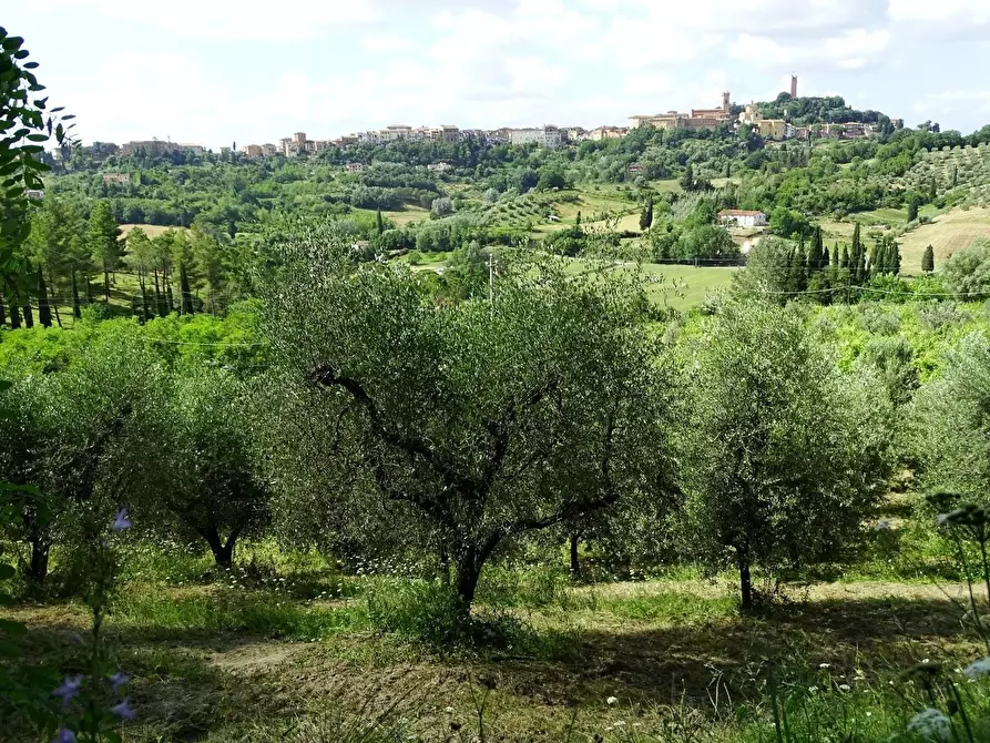 Immagine 41 di Azienda agricola in vendita  a San Miniato