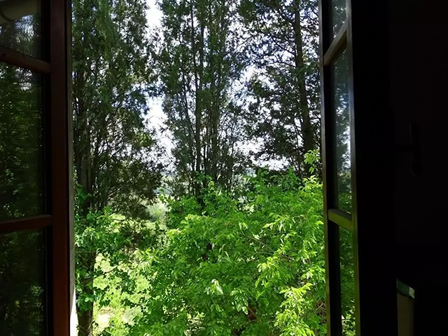 Immagine 29 di Azienda agricola in vendita  a San Miniato