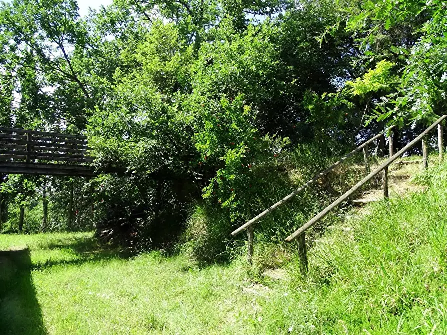 Immagine 4 di Azienda agricola in vendita  a San Miniato
