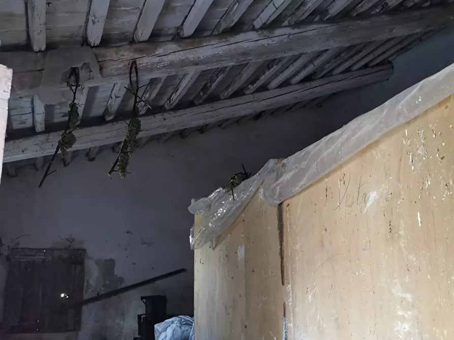 Immagine 5 di Porzione di casa in vendita  a Casciana Terme Lari