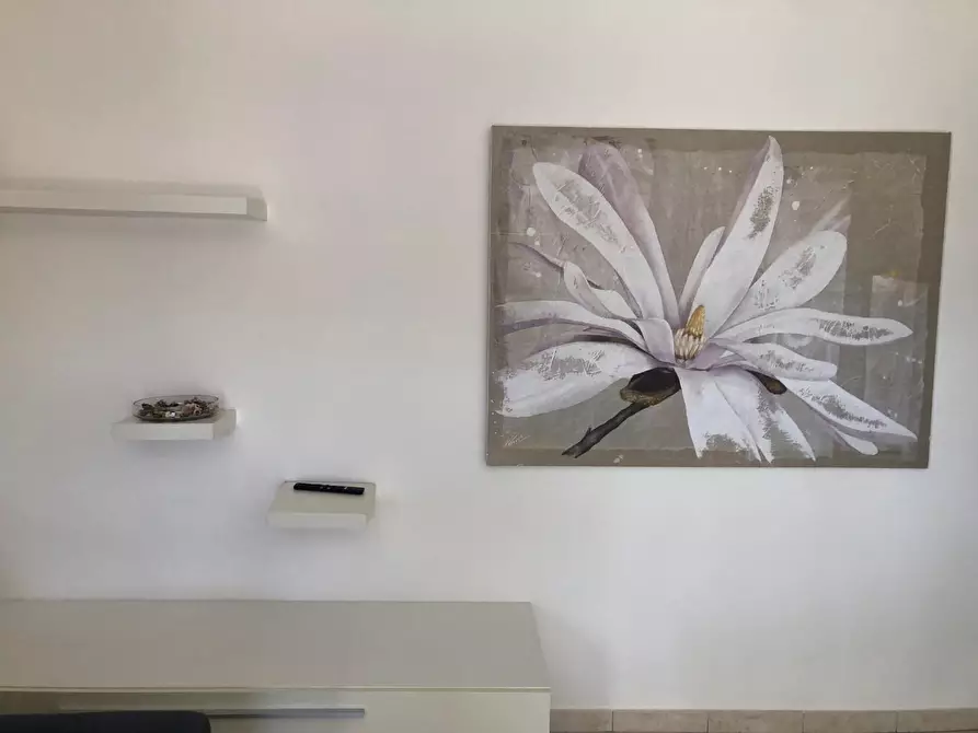 Immagine 2 di Appartamento in affitto  a Pisa