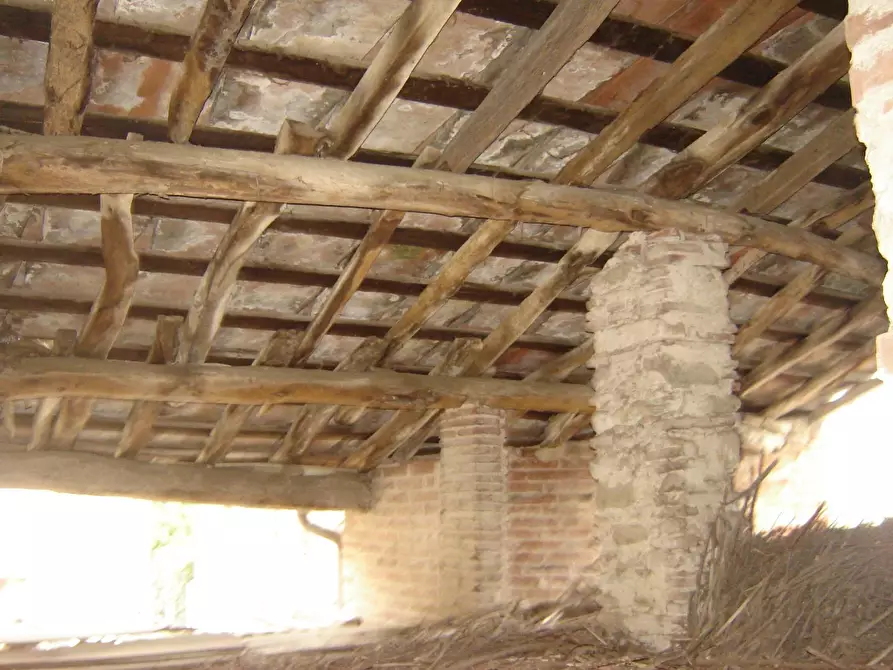 Immagine 5 di Deposito in vendita  a Capannori