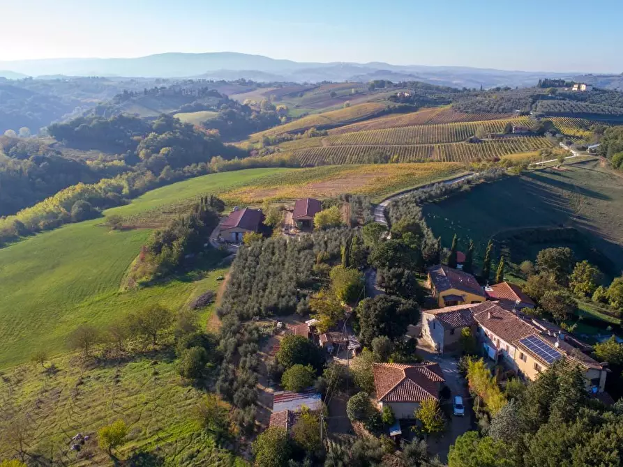 Immagine 8 di Azienda agricola in vendita  a Poggibonsi