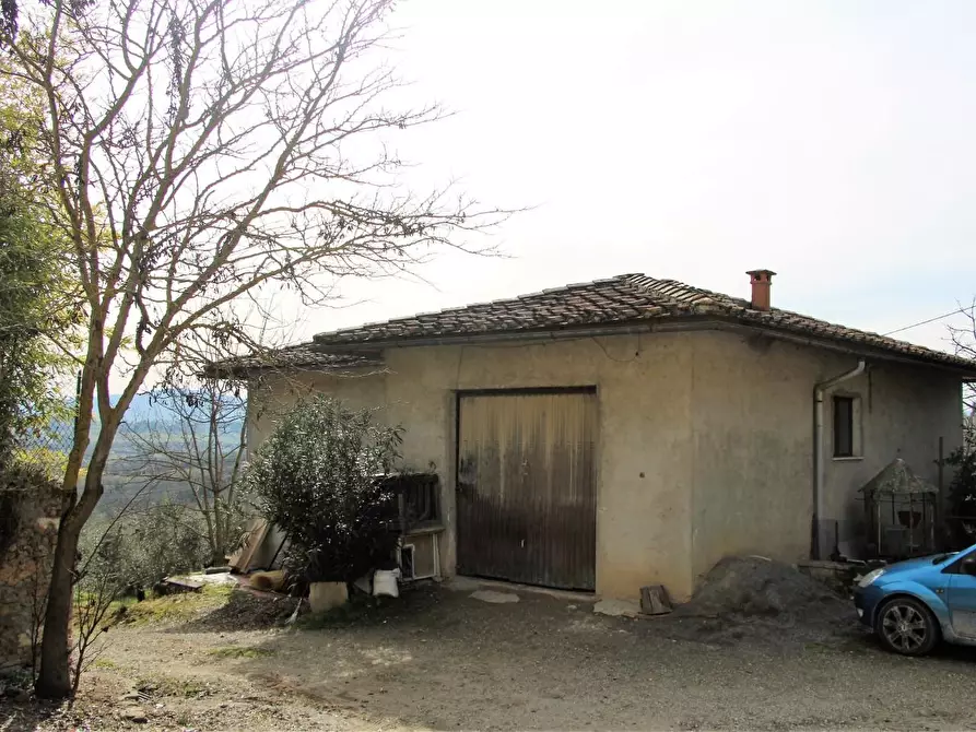 Immagine 32 di Azienda agricola in vendita  a Poggibonsi