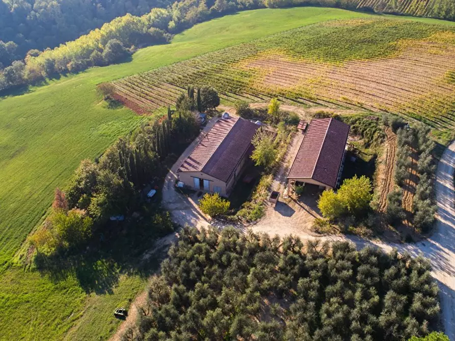 Immagine 10 di Azienda agricola in vendita  a Poggibonsi