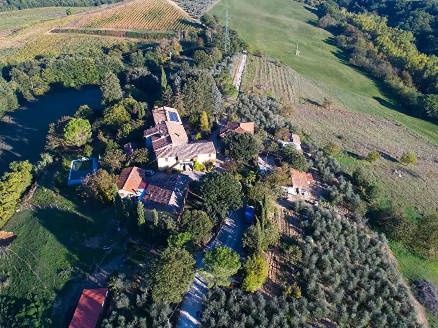 Immagine 3 di Azienda agricola in vendita  a Poggibonsi