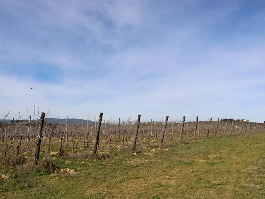 Immagine 36 di Azienda agricola in vendita  a Poggibonsi