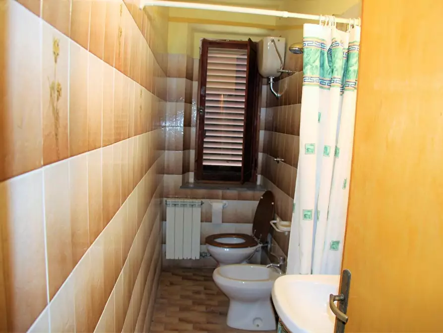 Immagine 21 di Azienda agricola in vendita  a Poggibonsi