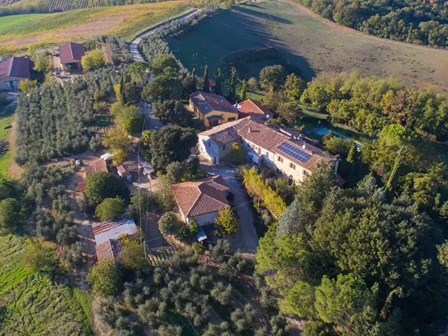 Immagine 2 di Azienda agricola in vendita  a Poggibonsi