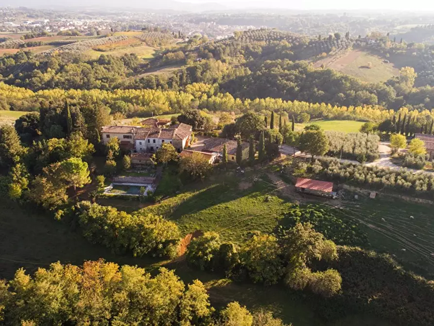 Immagine 5 di Azienda agricola in vendita  a Poggibonsi