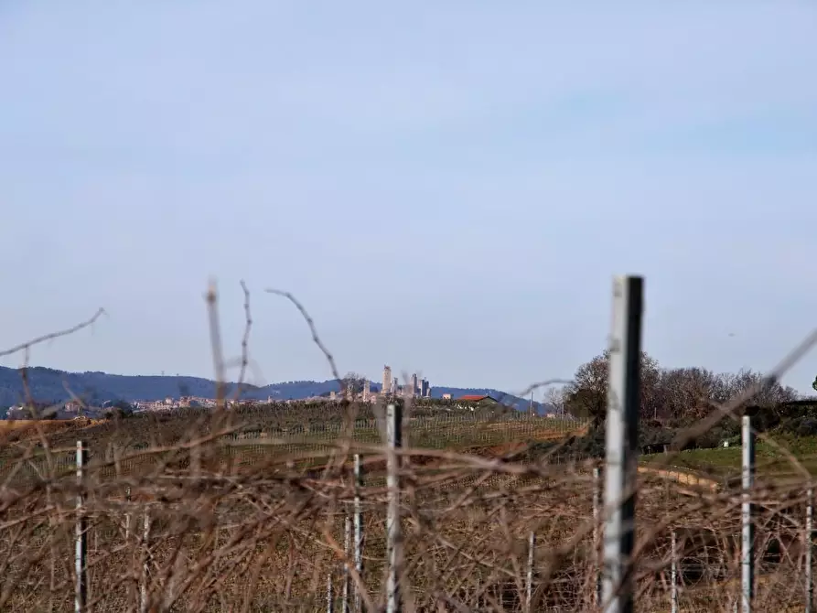 Immagine 37 di Azienda agricola in vendita  a Poggibonsi