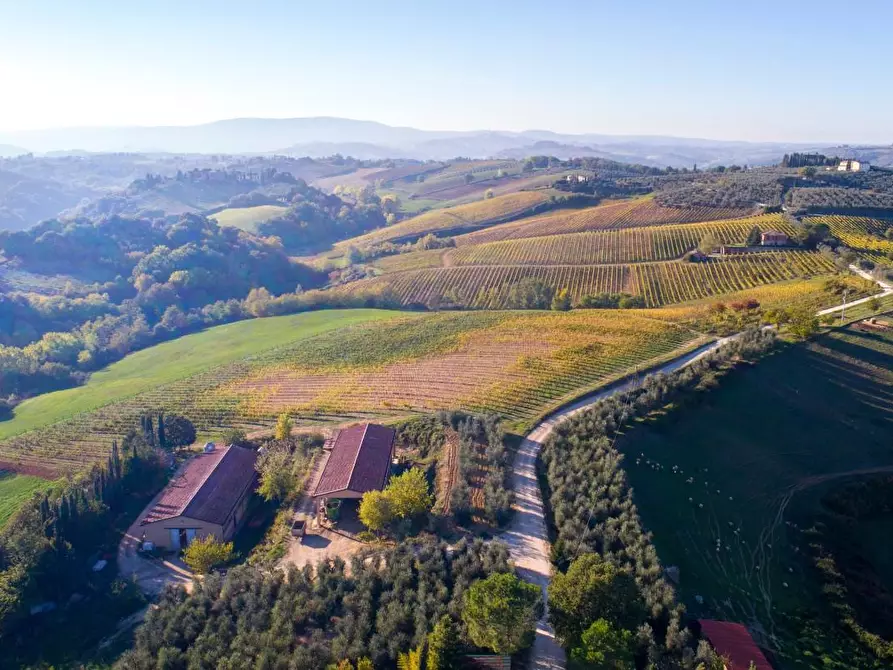 Immagine 9 di Azienda agricola in vendita  a Poggibonsi