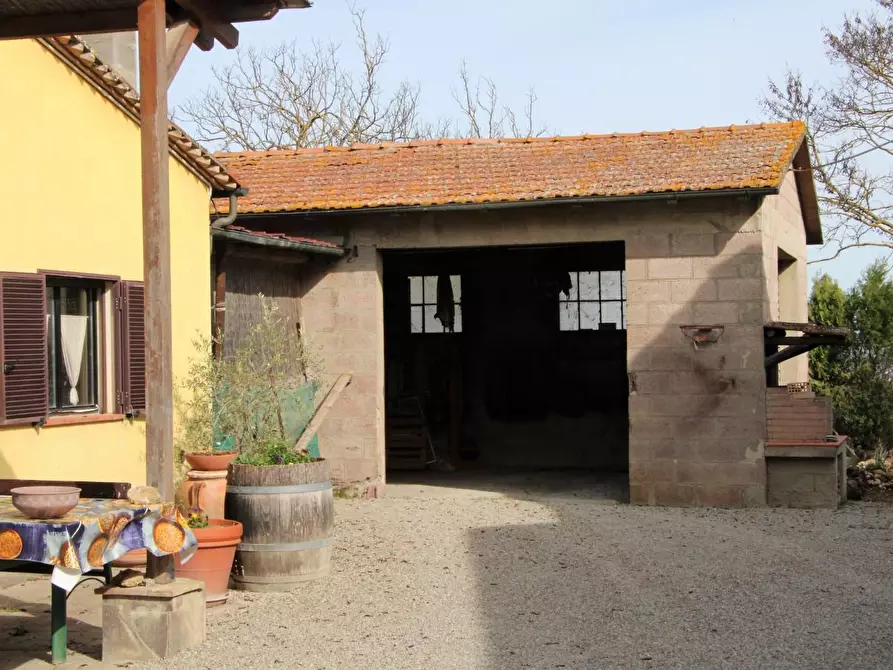 Immagine 31 di Azienda agricola in vendita  a Poggibonsi